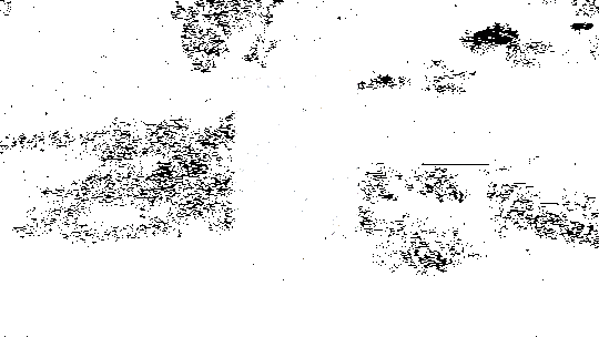 角色间激烈交锋的动态战斗画面，招式连贯，特效华丽