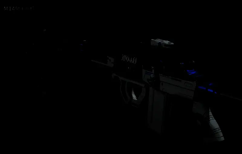 满改M14武器特写镜头，可见精密瞄准镜和战术握把等改装部件