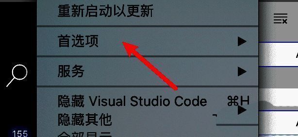 首选项子菜单展示多个设置类别，包括颜色主题、快捷键等