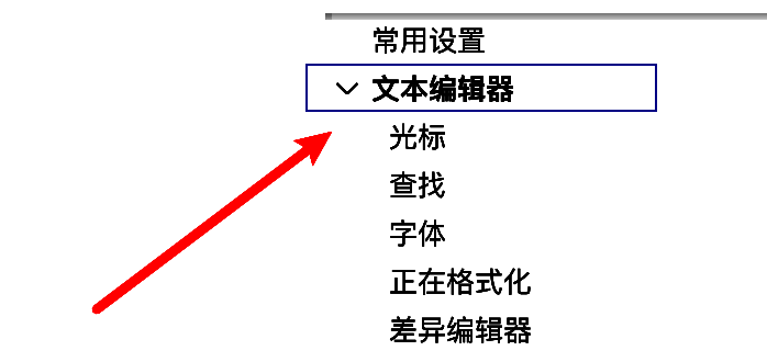 文本编辑器设置区域高亮显示，包含多项可勾选功能选项