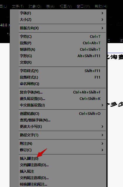 脚注设置面板界面截图，展示不同类型的注释选项