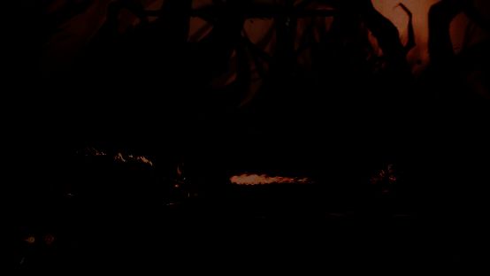 开发者与玩家在论坛互动讨论的画面截图，体现社区共建理念