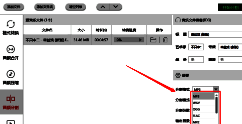 分割格式选择界面展示多种音频格式选项