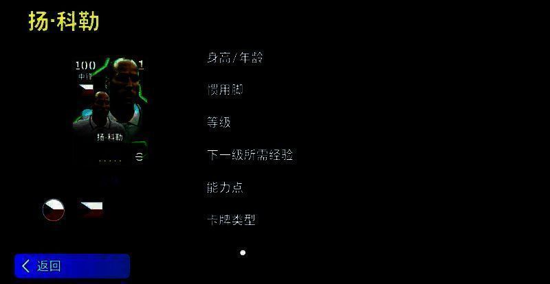 扬·科勒游戏卡面与属性展示