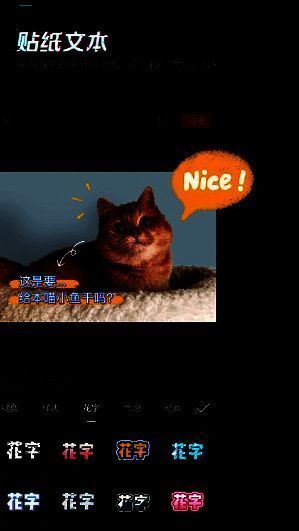 剪映应用界面截图，展示丰富的视频编辑功能与模板资源