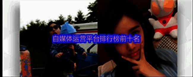 自媒体平台排行榜前十名数据图表