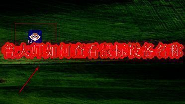 鲁大师软件主界面展示，界面清晰直观，操作便捷