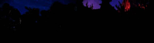 《狂野之心S》多人合作画面，四名玩家协同作战狩猎化兽