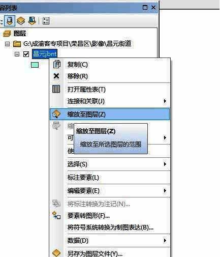右键菜单中选择缩放到图层的操作界面