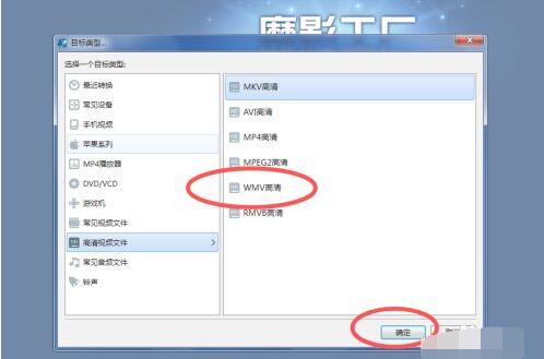 目标格式选择界面，显示多种视频格式选项