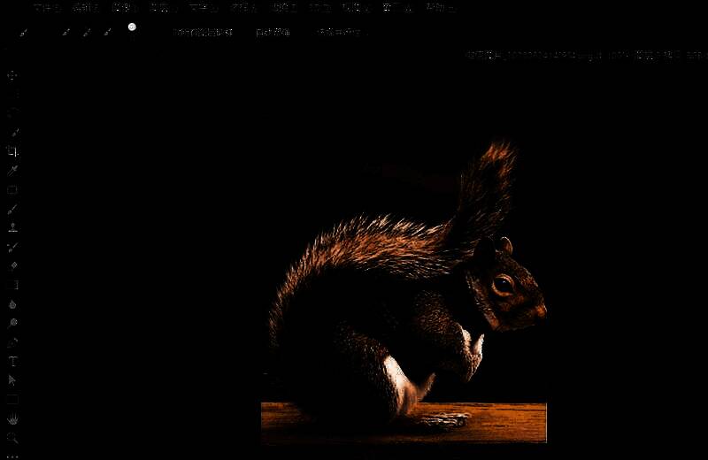 Photoshop工具栏中套索工具被选中，鼠标指针显示为套索形状