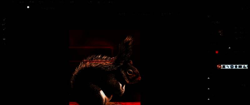 调整边缘画笔工具正在擦除动物毛发边缘的背景残留