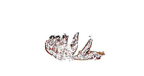 六尾鸣人在战场上怒火燃烧，准备发动终极技能