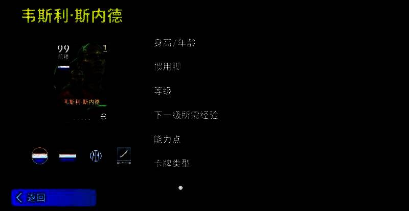 斯内德比赛中控球画面，背景为绿茵球场，脚下技术细腻，传球精准