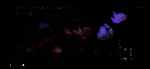 横竖屏切换按钮特写，按钮位于全屏播放界面右下角，图标为横竖方向箭头组合