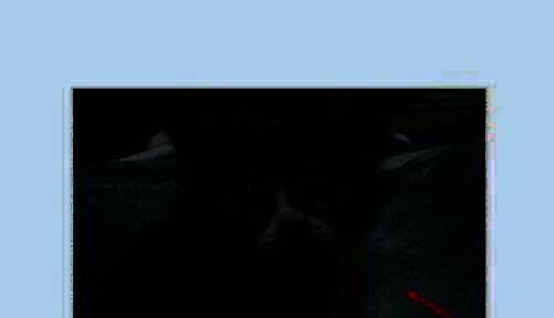 截图工具界面，画面已定格，准备截图保存