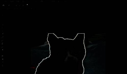 人物轮廓被白色描边包围，特效明显增强视觉焦点