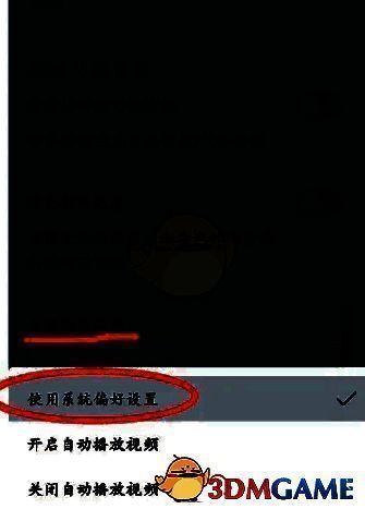 选择使用系统偏好设置以开启自动播放功能