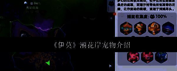 潮花岸区域全景图，展示水流与沙滩交织的自然景观