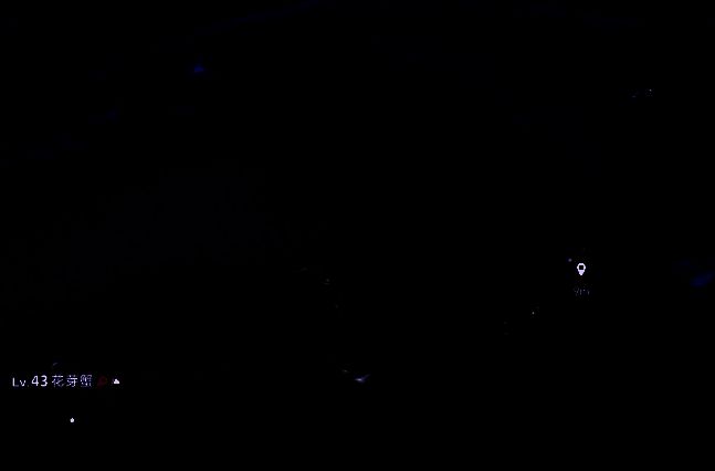 星骑士宠物展示图，身披铠甲，手持长剑，站立在鲸鱼骨架顶端