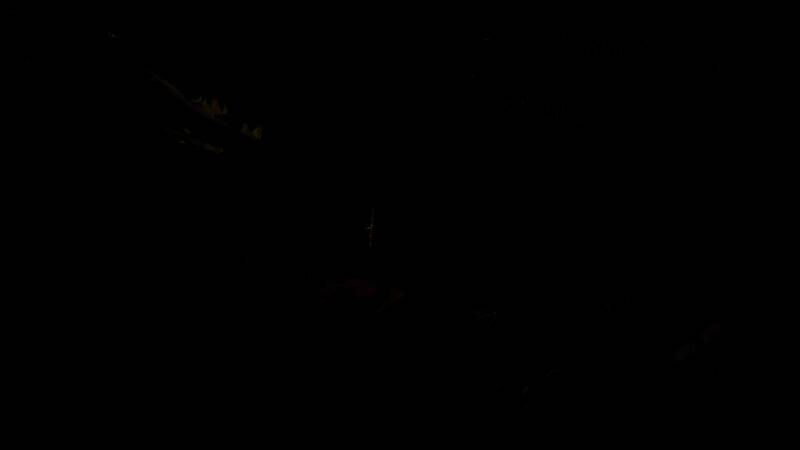 Steam平台中玩家社区讨论界面，显示关于DLC问题的大量反馈与讨论