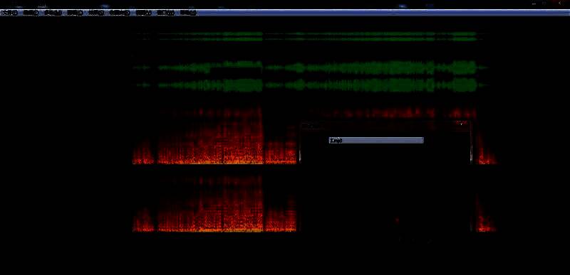 音频导出设置界面，展示多种格式选择选项