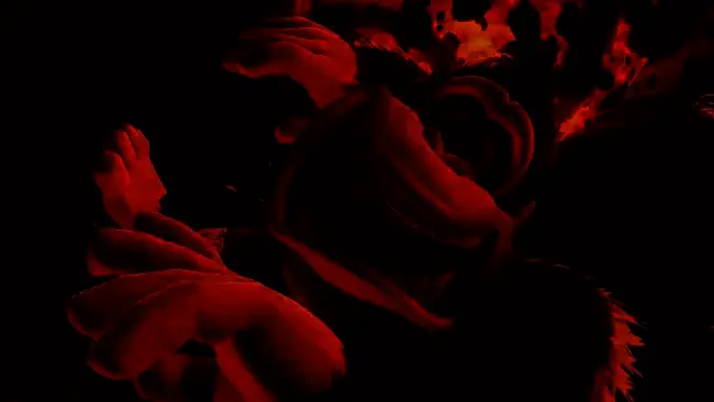 《咚奇刚：蕉力全开》游戏画面，色彩鲜艳，角色动作流畅