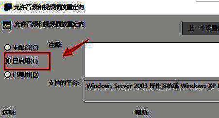 音频播放设置完成界面截图，显示已启用状态