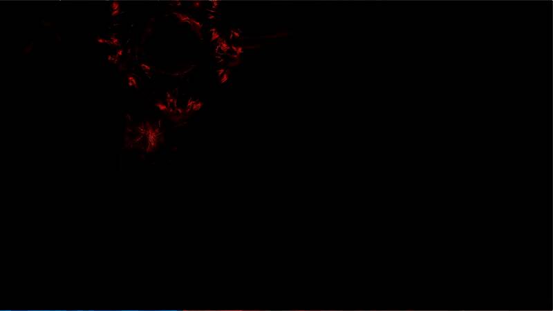 角色技能树界面预览图，分支清晰、图标精致，体现高自由度成长系统