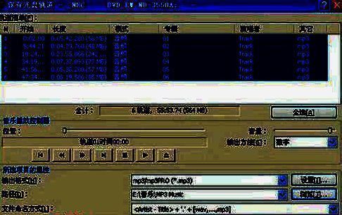 选择音轨和输出格式的界面