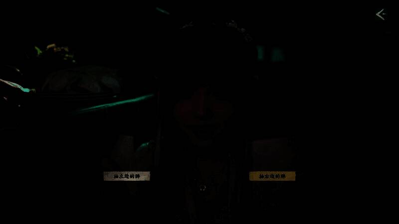 游戏Steam商店页面截图，展示封面与简介信息，界面简洁直观