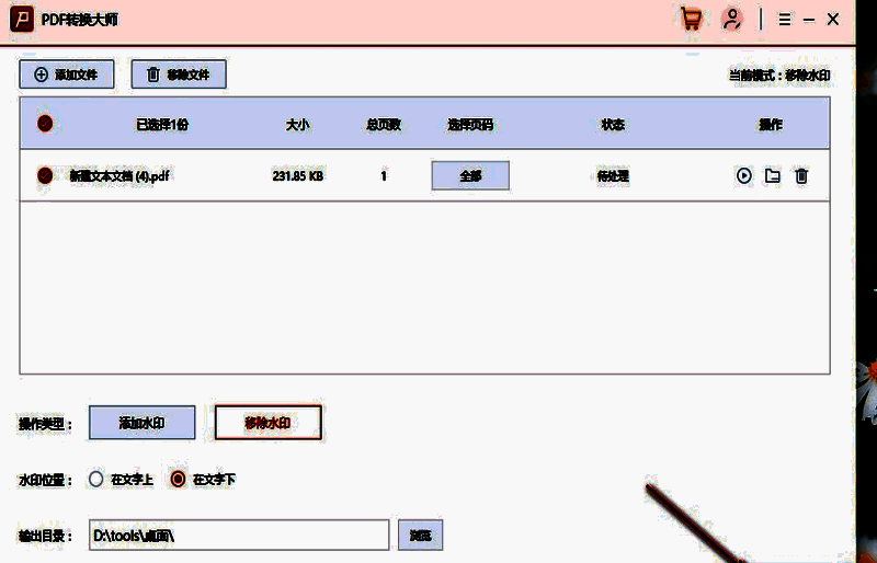 处理界面显示进度条，正在进行水印移除操作