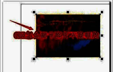 CorelDRAW软件界面展示，显示图片不透明度调节功能入口