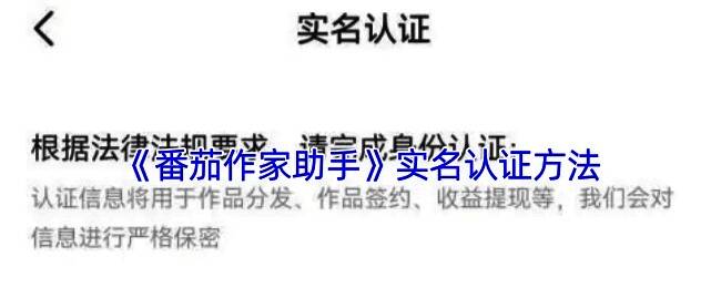 番茄作家助手作品发布界面预览，展示认证后可顺利进行内容上传