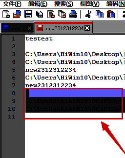 Notepad++界面展示，光标已选中部分文本内容