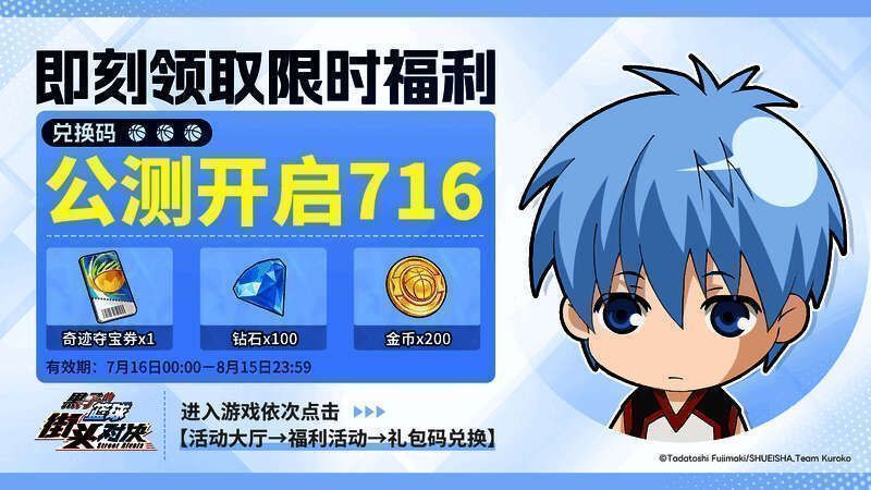 兑换码输入界面截图，显示兑换码输入框和确认按钮