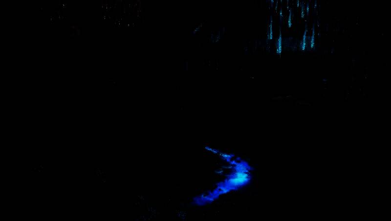 五大海洋生态区域分布图，展示不同深度的生态环境特征