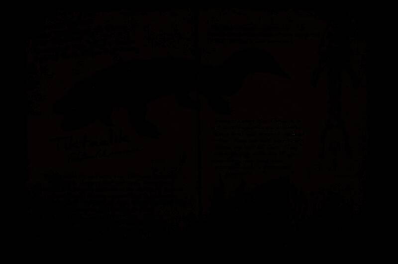 提塔利克鱼在海底伪装隐藏，眼睛被遮住，呆萌可爱