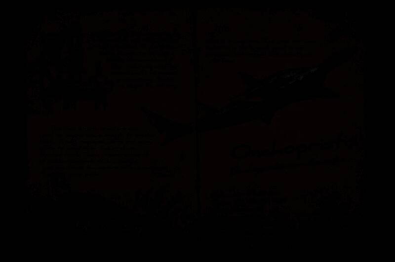 帆锯鳐在水中游动，锋利锯齿嘴部闪烁寒光