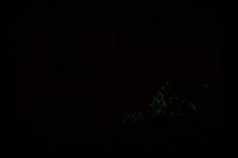 螳螂虾挥舞利爪，眼神凌厉，准备攻击靠近者