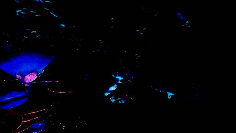 深海地图展示不同生态区域的分布与深度变化