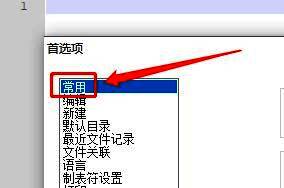 左侧导航栏中“常用”被选中，右侧显示相关设置项列表
