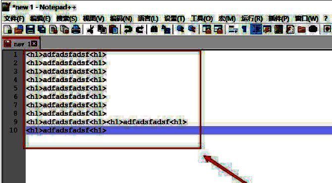Notepad++新建文本界面，输入待处理代码或文字