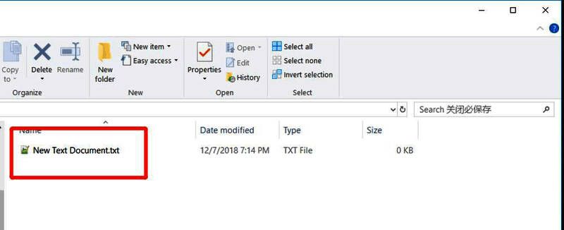 Notepad++界面展示新建文件并输入内容的场景