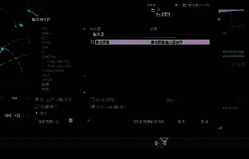 EDIUS导出选项中选择图像输出的界面展示