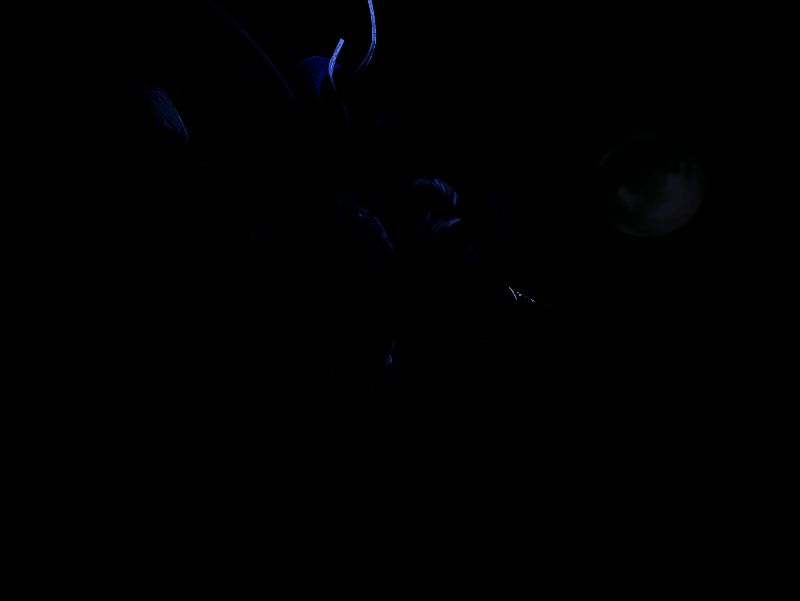 桌上摆放着《射雕》定制五子棋和拼图盲盒，旁边是游戏宣传物料