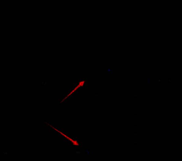 时间线面板下方的新建序列按钮特写，鼠标悬停状态高亮显示