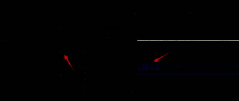 剃刀工具在时间线上切割视频片段的示意图，前后两段视频被清晰分开