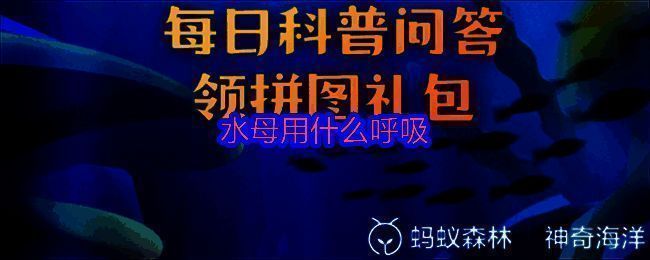 支付宝神奇海洋7月18日答题界面截图，显示问题‘水母用什么呼吸？’及选项
