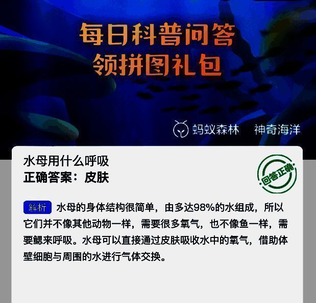 正确答案提示页面，高亮显示‘皮肤’为水母的呼吸方式